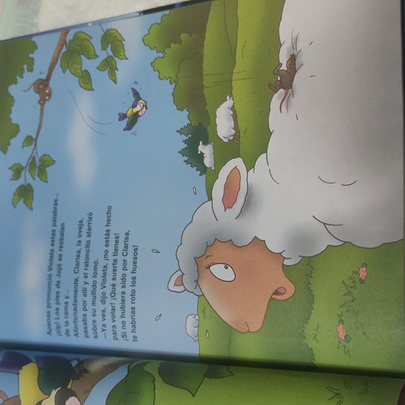 Beautiful Illustrated Children Book Spanish - Picture 4 of 4